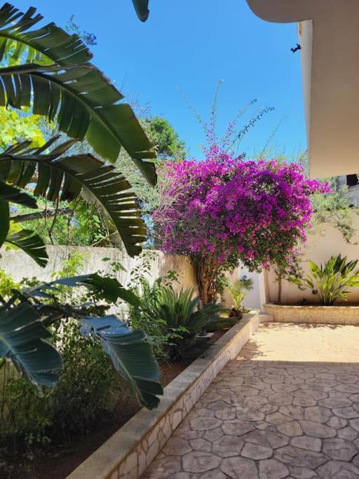 Villa Meri Torre Lapillo Buitenkant foto